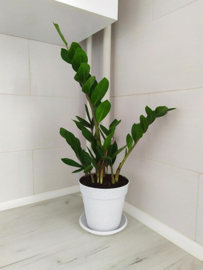 חארקיב Apartment On Klochkovskaya 152A מראה חיצוני תמונה